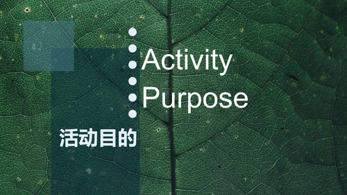 蓝色简约风地球日活动策划方案PPT模板