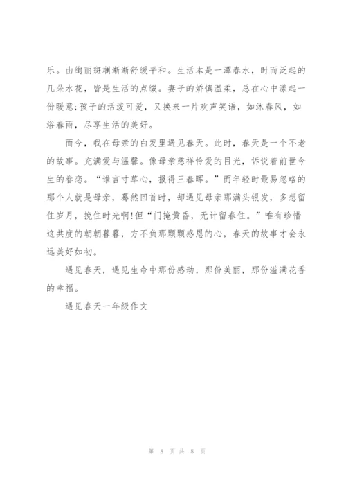 遇见春天一年级作文5篇.docx