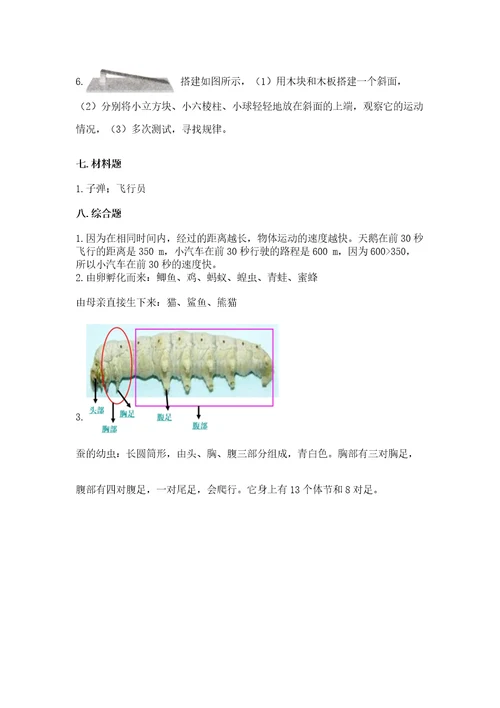 教科版科学三年级下册期末测试卷（考试直接用）