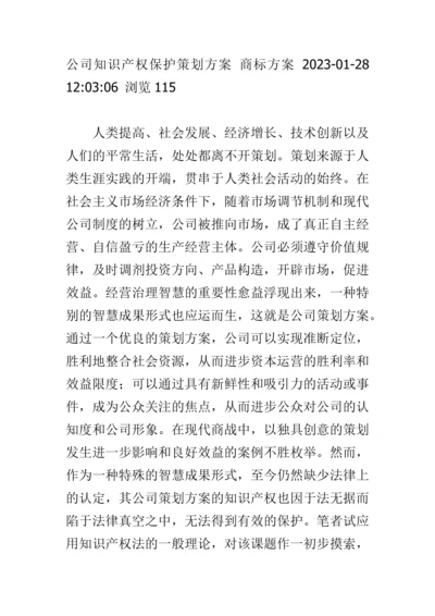 策划方案的知识产权保护方案.docx