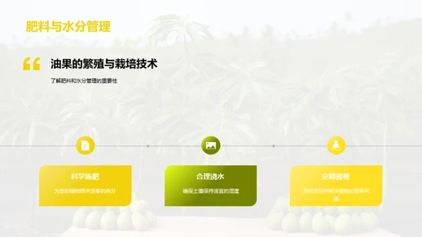 油果种植成功秘诀