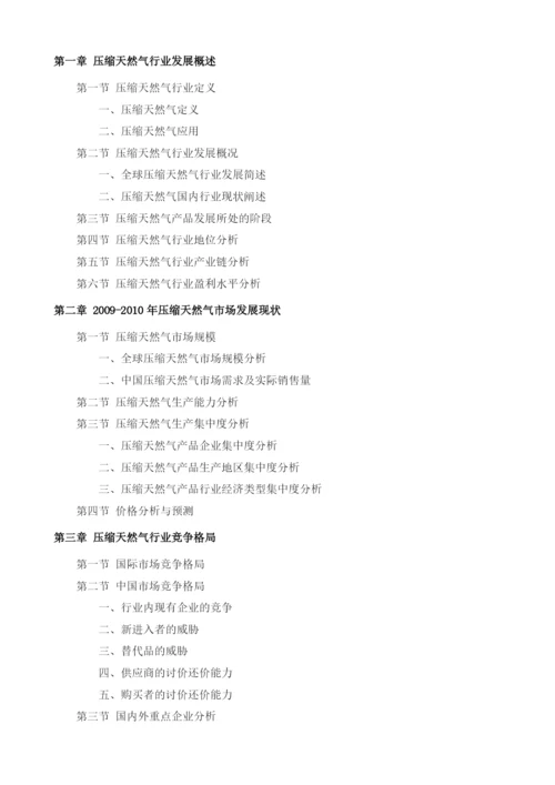 压缩天然气项目投资调研及前景预测报告模板.docx