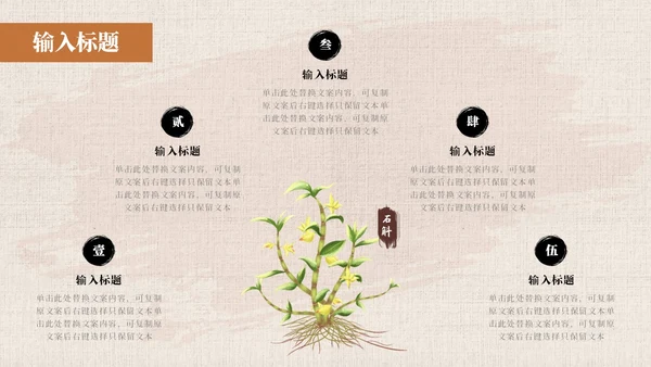 黄色系简约中国风中医药培训PPT模板