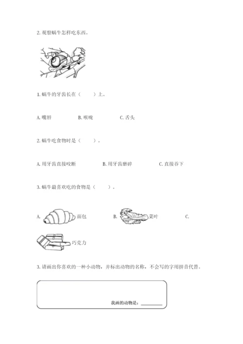 教科版一年级下册科学期末测试卷及答案（基础+提升）.docx