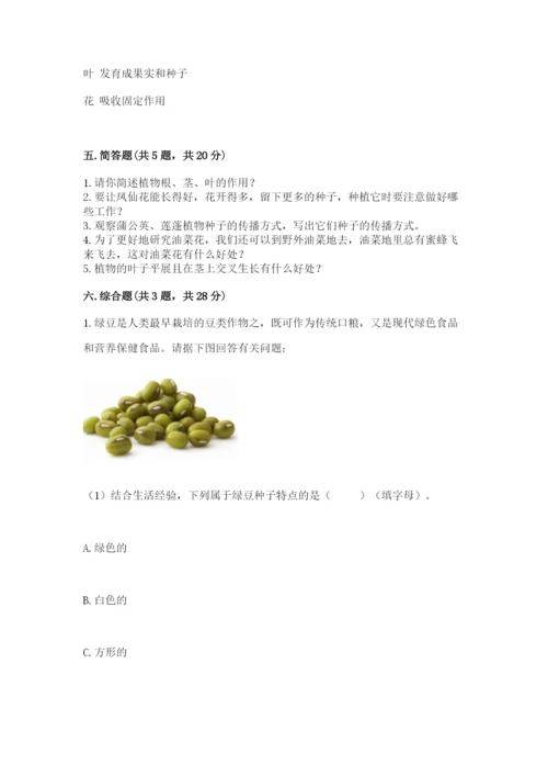 科学四年级下册第一单元植物的生长变化测试卷精华版.docx