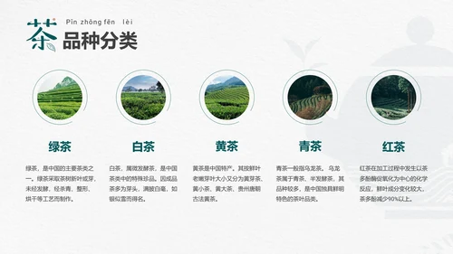 品茶论道茶艺茶道文化PPT模板