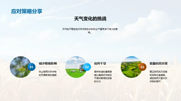 农业产量季度报告