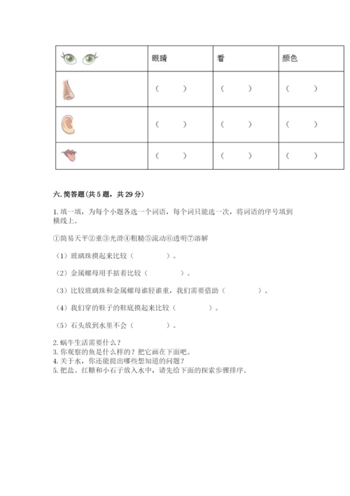 教科版小学科学一年级下册期末测试卷a4版.docx
