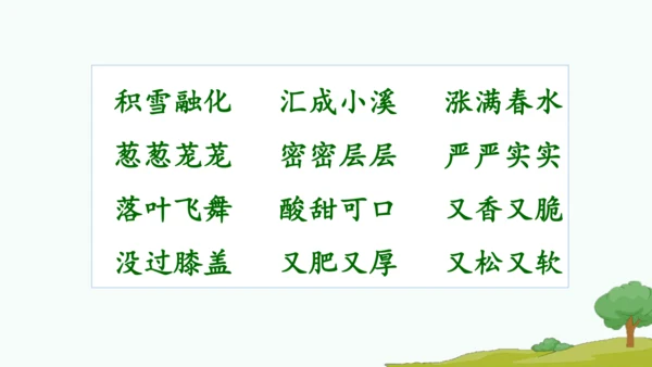 20.美丽的小兴安岭   课件