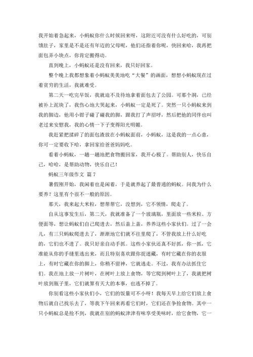 有关蚂蚁三年级作文锦集8篇.docx