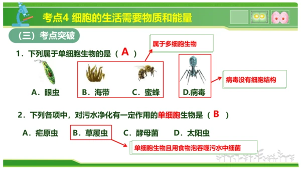 第三章从细胞到生物体（串讲课件）-七年级生物上学期期中考点大串讲（人教版2024）(共40张PPT)