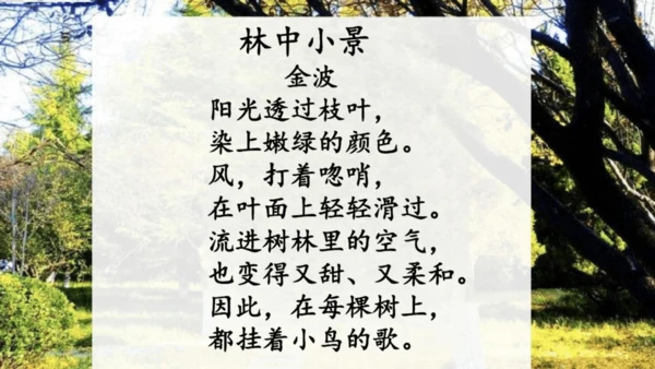 3《现代诗二首》课件