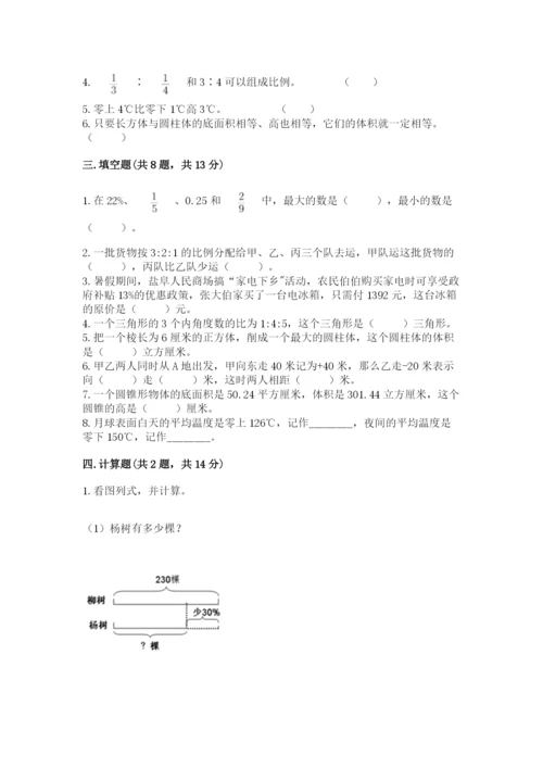 滁州市小升初数学测试卷审定版.docx