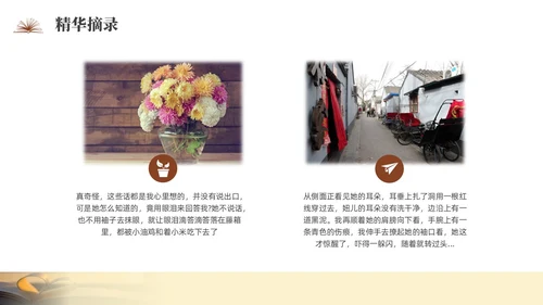 咖啡色实拍城南旧事读书分享PPT课件