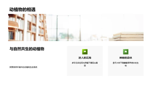 生态漫游：探索与认知