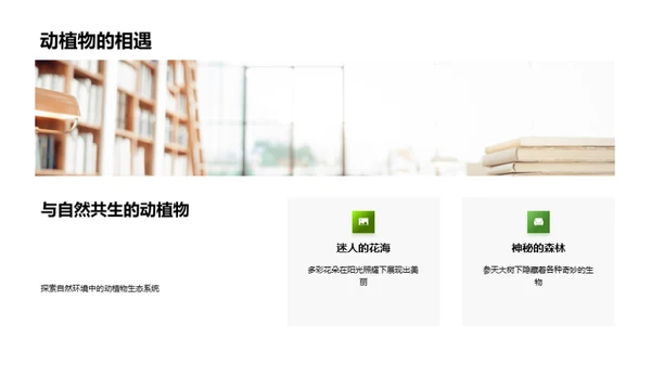 生态漫游：探索与认知