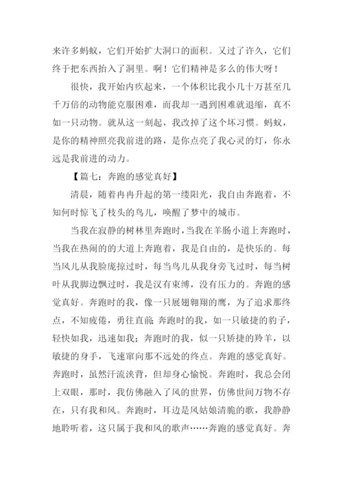 优秀叙事文作文.docx