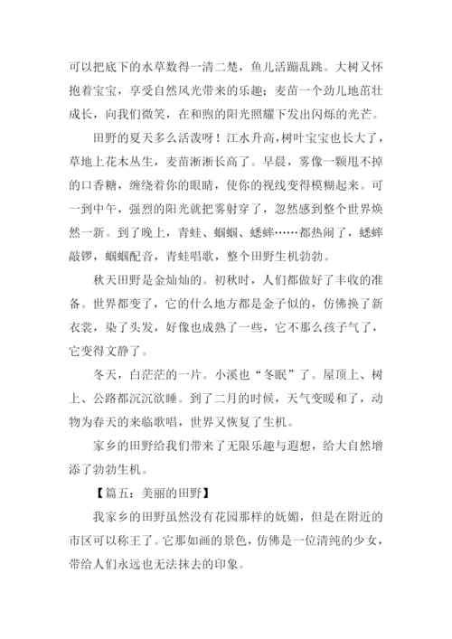 美丽的田野作文450字.docx