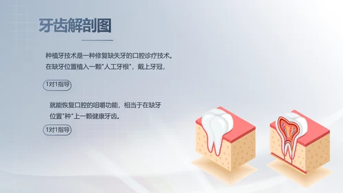 医疗牙科商业计划书务动态PPT模板