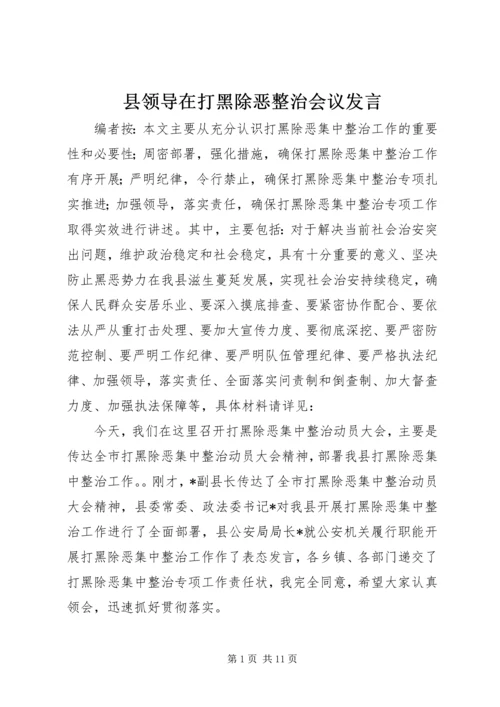 县领导在打黑除恶整治会议发言.docx