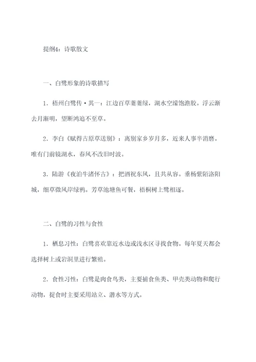 把白鹭改成说明文的提纲
