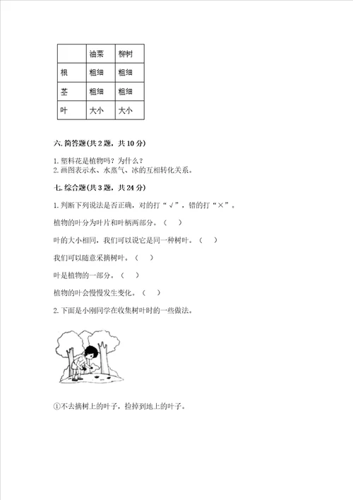 教科版科学一年级上册第一单元植物测试卷及完整答案考点梳理