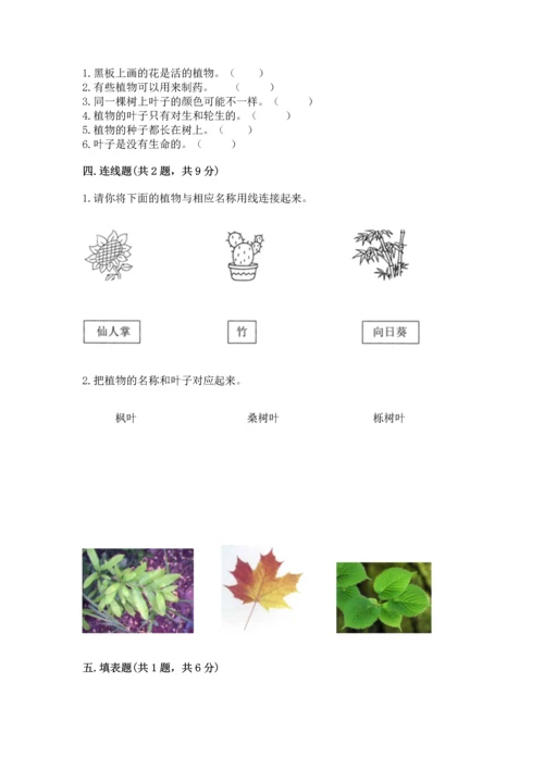 教科版科学一年级上册第一单元《植物》测试卷【基础题】.docx