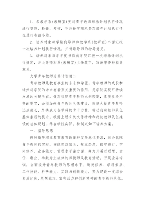大学青年教师培养计划_1.docx