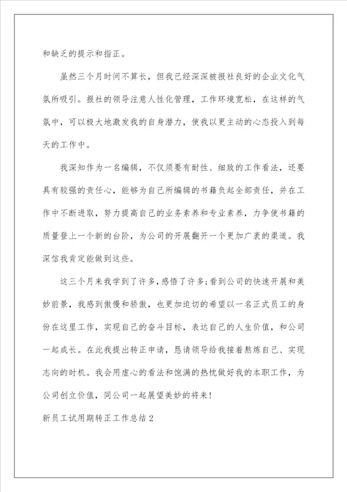 新员工试用期转正工作总结10