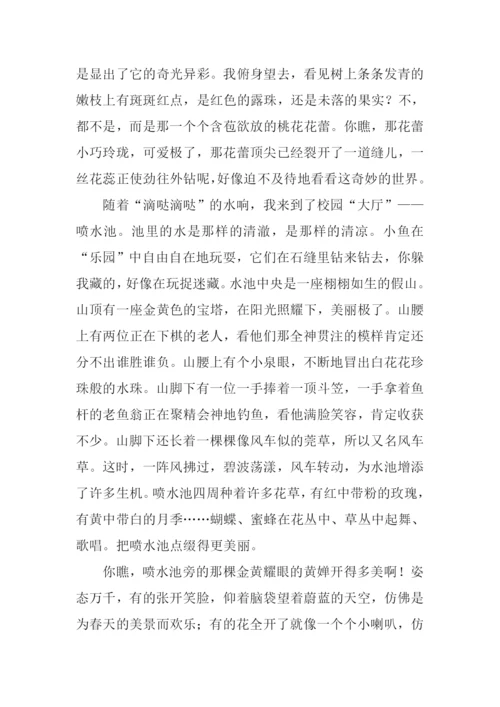 春天的景色作文800字.docx