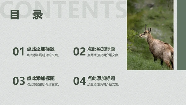 绿色个人作品集PPT模板