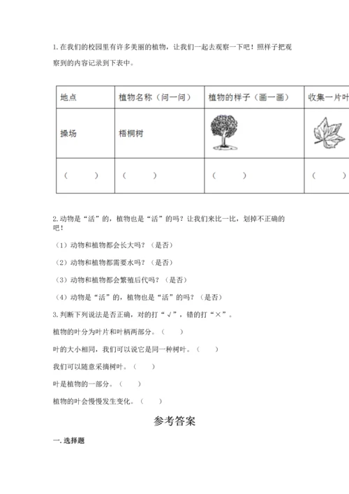 教科版科学一年级上册第一单元《植物》测试卷附答案【综合卷】.docx