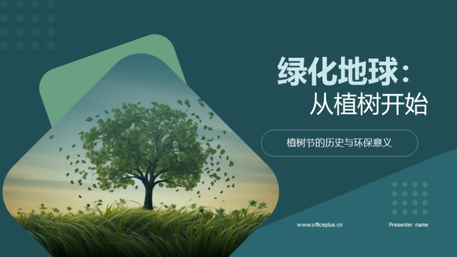 绿化地球:从植树开始