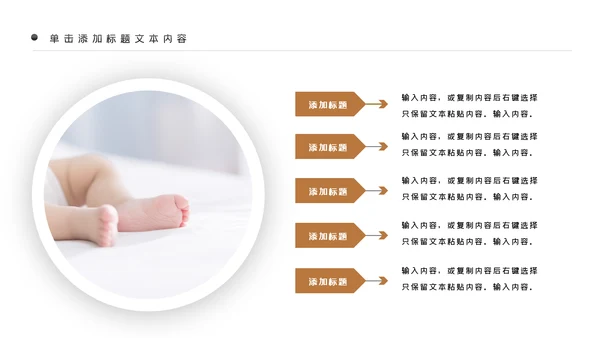 母婴健康知识孕婴保健健康知识ppt模板