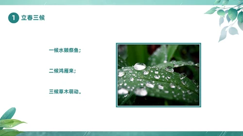 绿色春天中国二十四节气之雨水节气介绍PPT