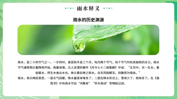 雨水节气燕子元素通用PPT绿色模板
