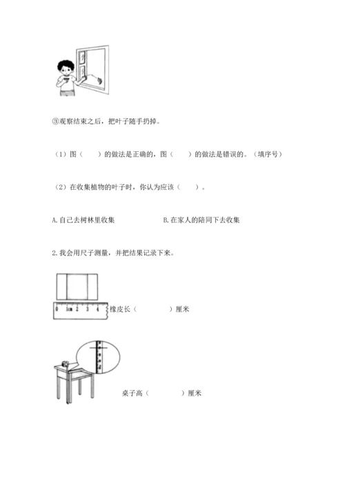 教科版一年级上册科学期末测试卷带答案（b卷）.docx