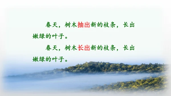 20.美丽的小兴安岭   课件