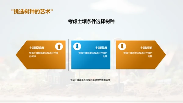 社区植树，你我共参与