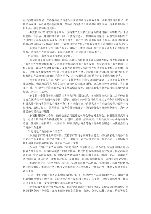 湖南省电子商务发展规划.docx