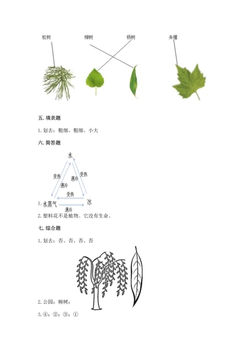 教科版科学一年级上册第一单元《植物》测试卷附参考答案【实用】.docx