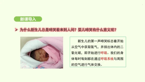 第四单元-第三章-第一节-呼吸道对空气的处理课件-2024-2025学年七年级生物下学期人教版(20