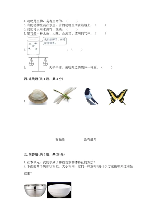 教科版一年级下册科学期末测试卷附参考答案【基础题】.docx