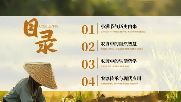 橙色小满节气农谚里的智慧传承PPT模板