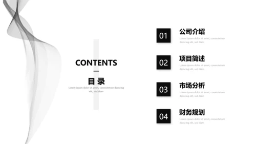 黑灰商业计划项目简介PPT模板