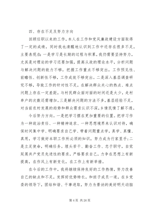 人民政府副乡长个人述职述廉报告.docx