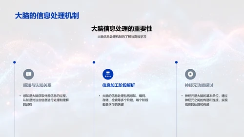 优化学习的脑科学策略