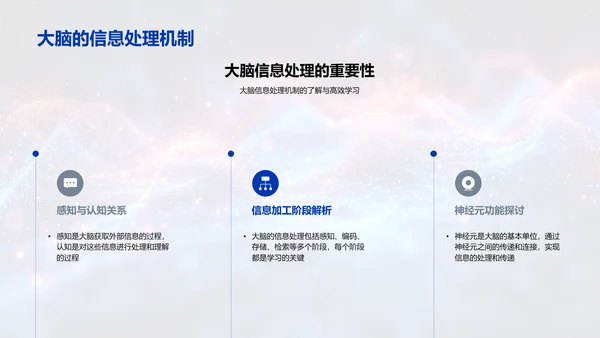 优化学习的脑科学策略