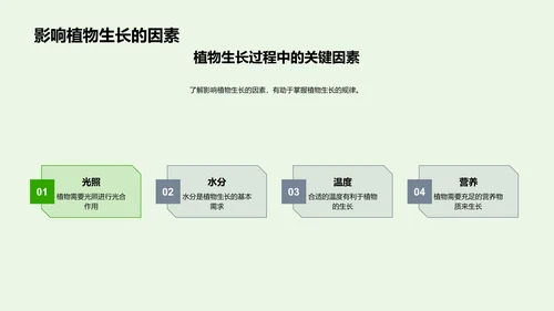 科学观察：植物生长之旅