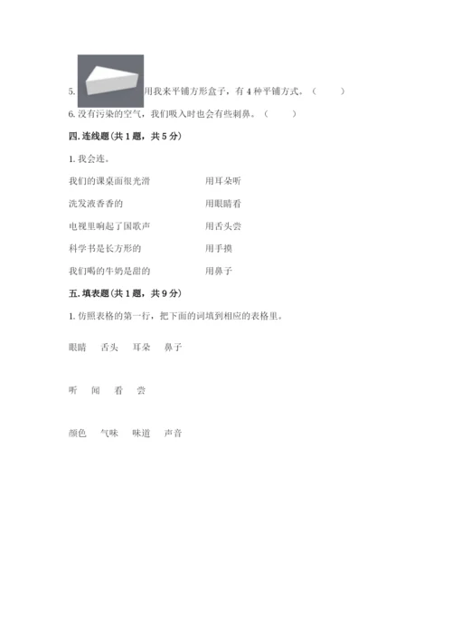 教科版小学科学一年级下册期末测试卷及参考答案（精练）.docx